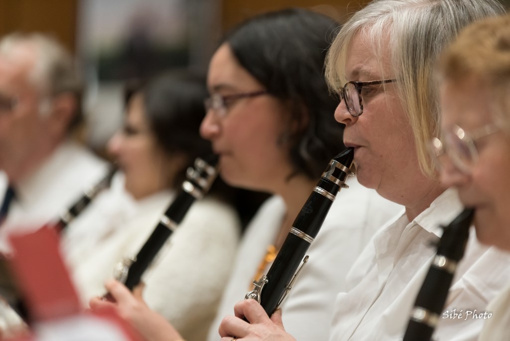 Concert du nouvel an mairie de Lillebonne