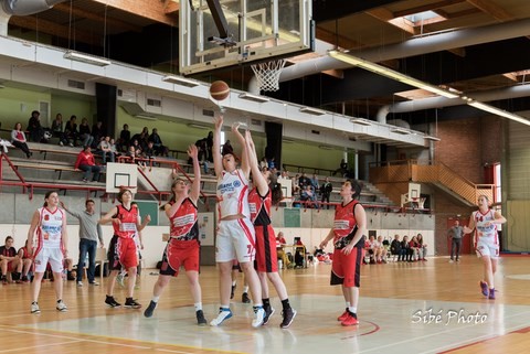 animation match de basket