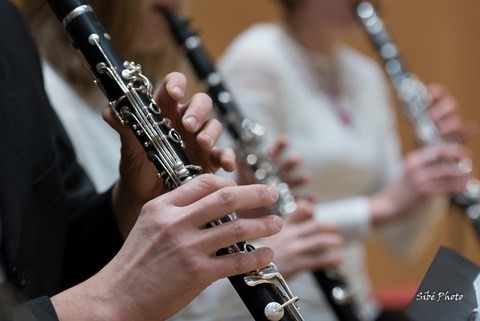 Concert du nouvel an mairie de Lillebonne